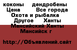 коконы    дендробены › Цена ­ 25 - Все города Охота и рыбалка » Другое   . Ханты-Мансийский,Ханты-Мансийск г.